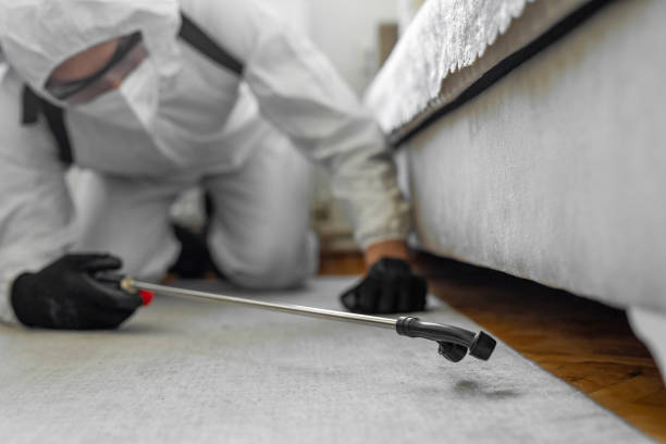Professional Rodent Control technician working in Mills County County, TX